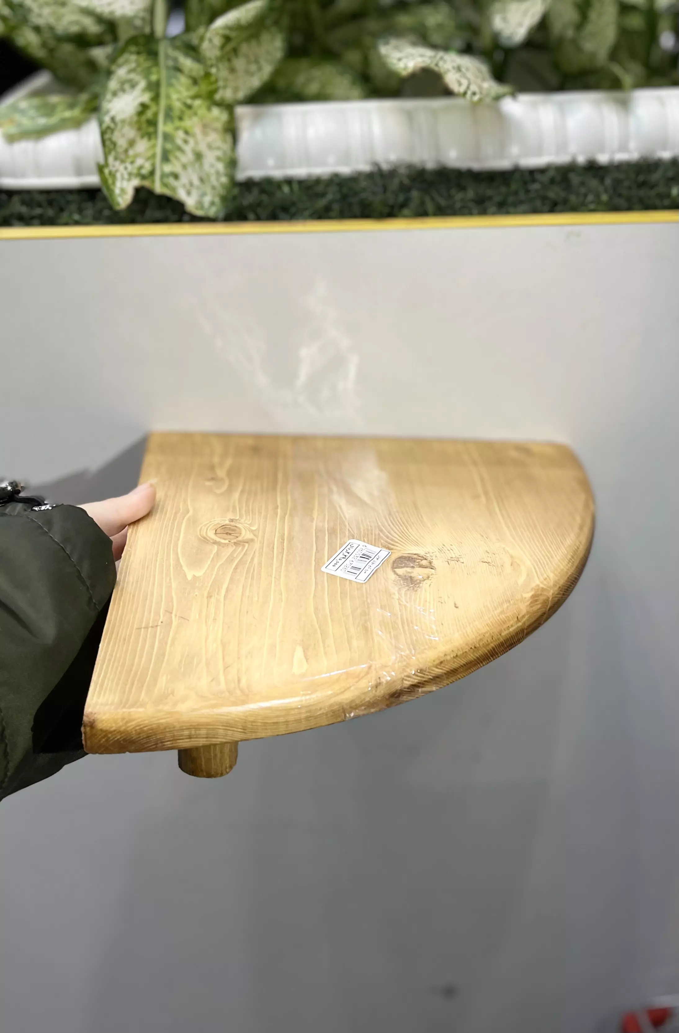 تخته سرو کنجی