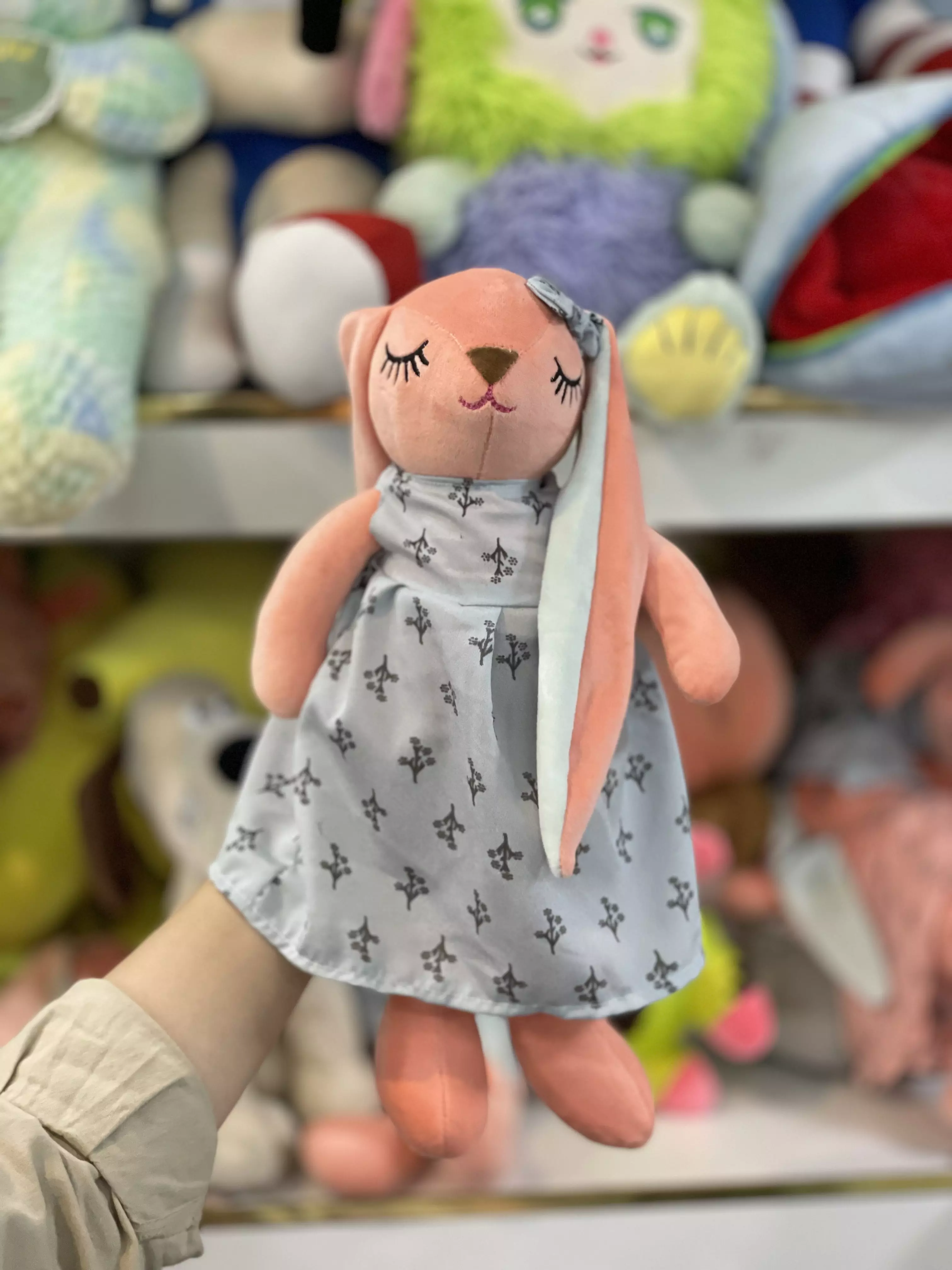 خرگوش انجل ناز متوسط
