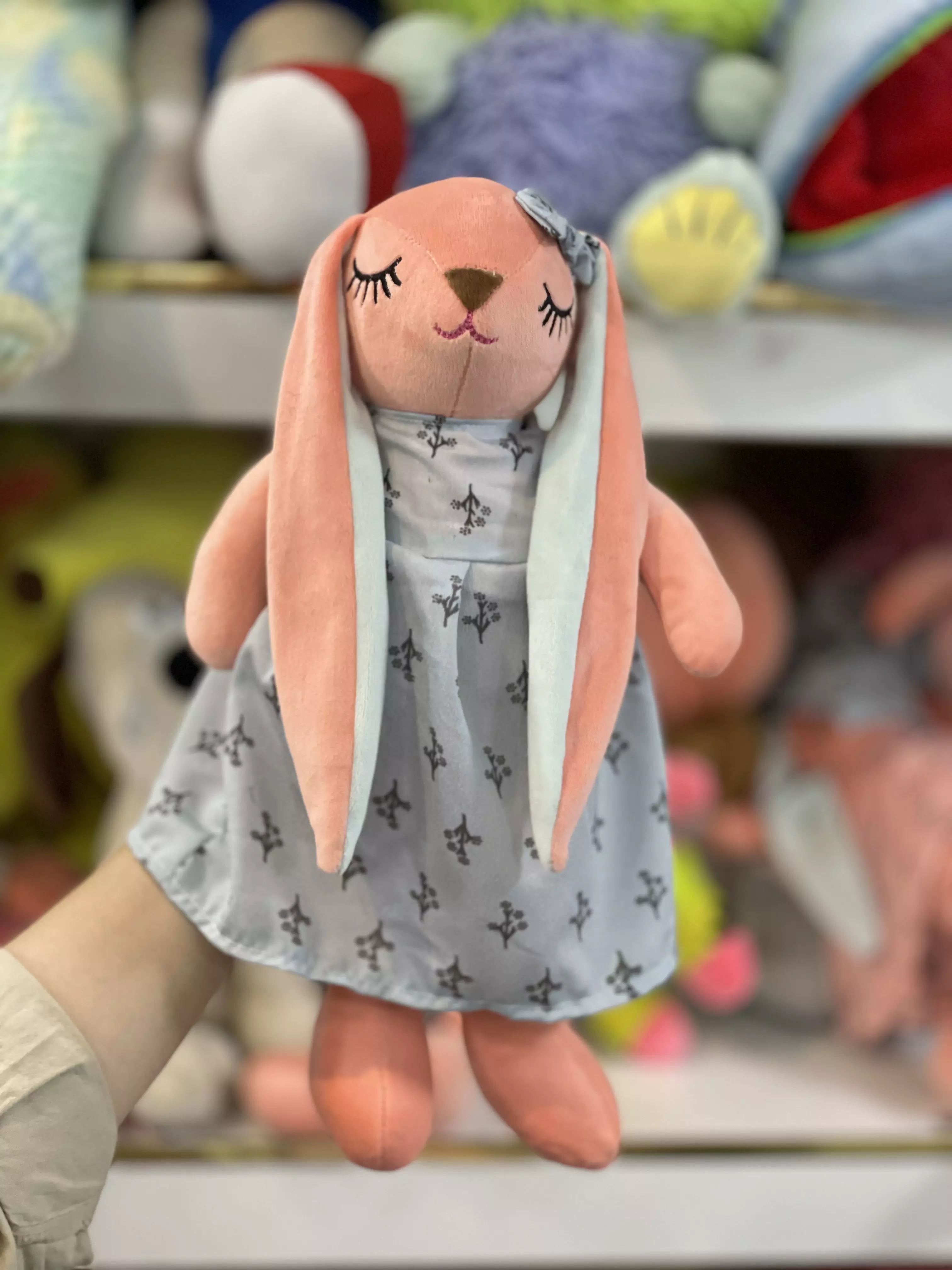 خرگوش انجل ناز متوسط