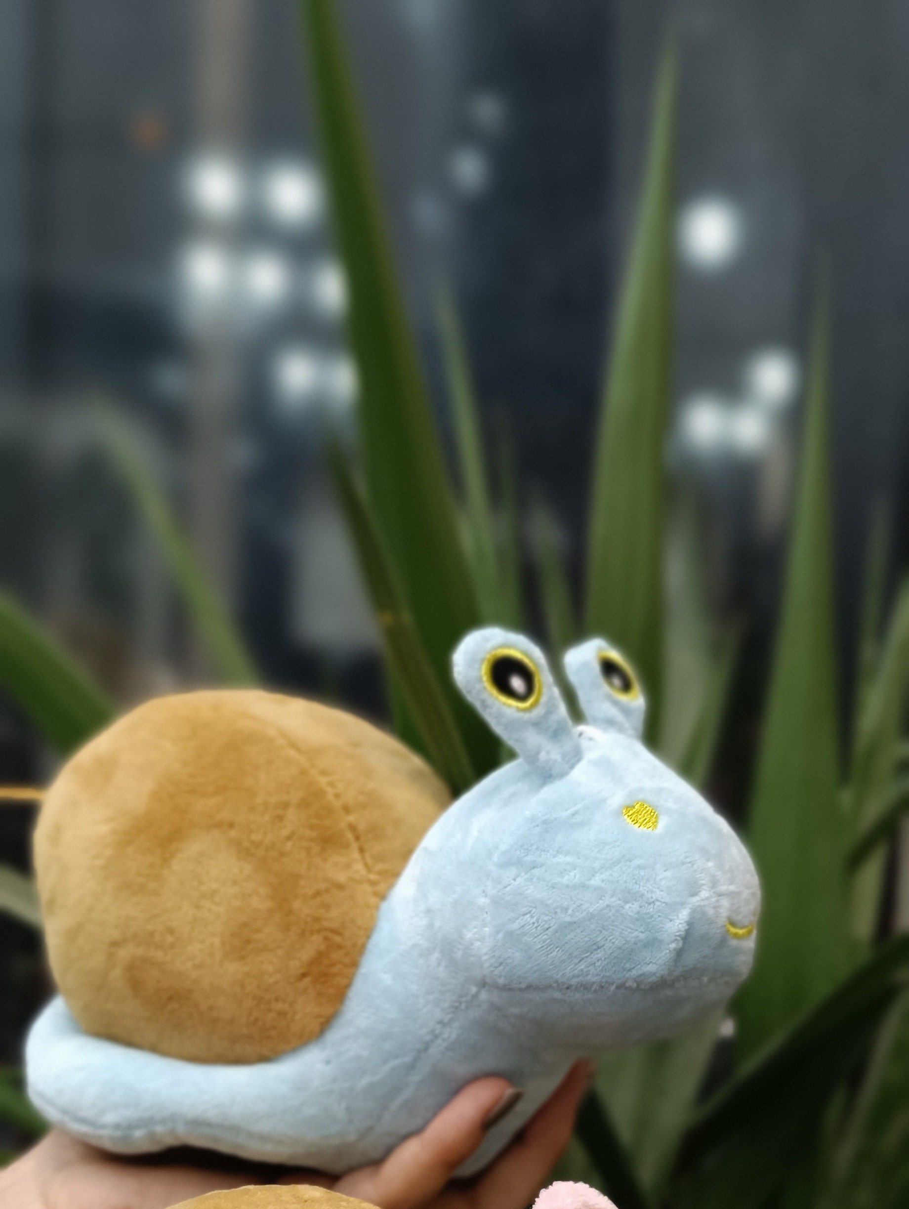 حلزون