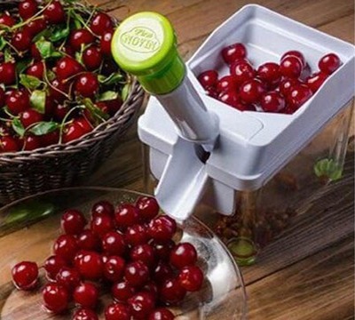 هسته گیر آلبالو تکتاز