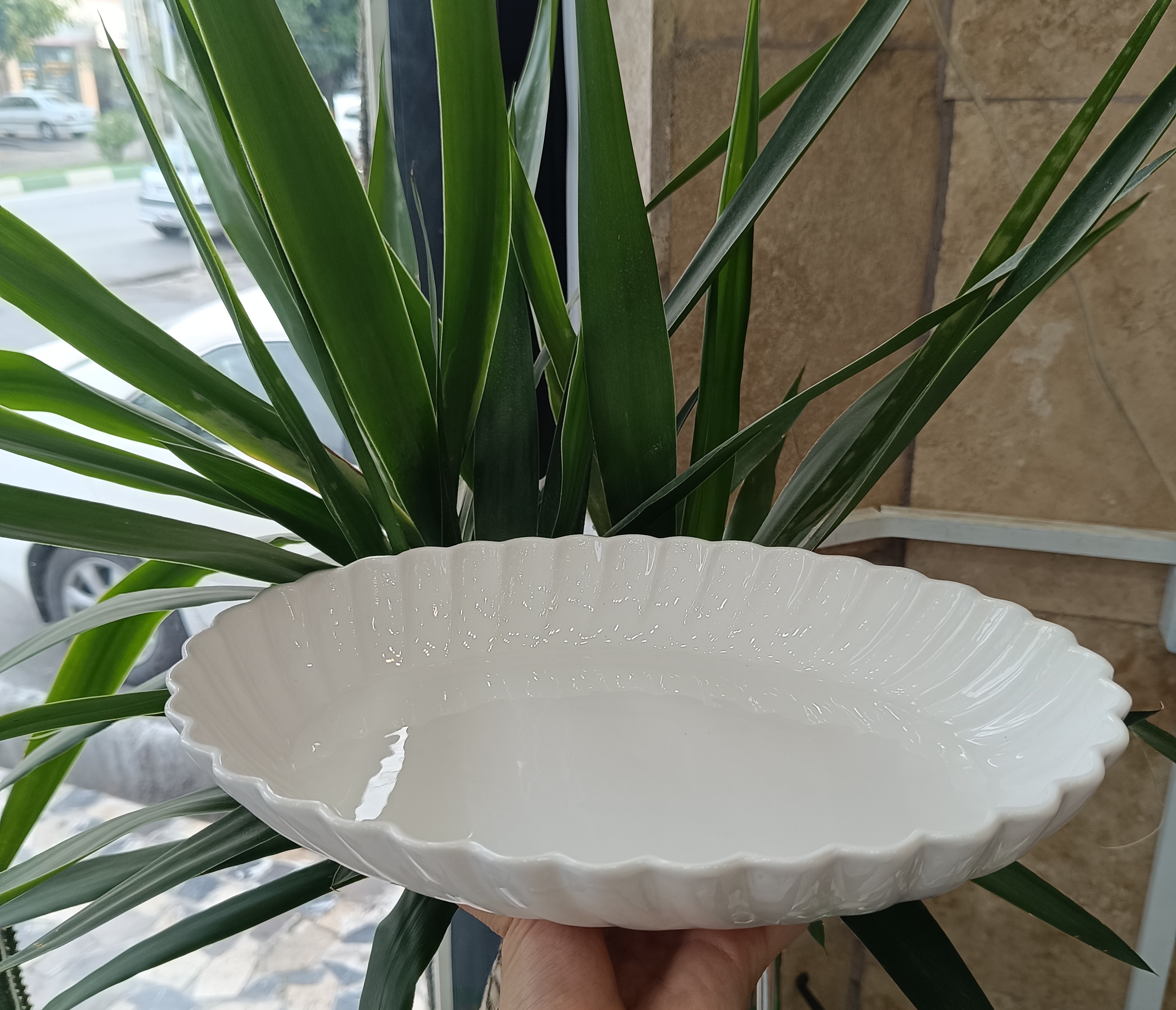 تابه بیضی متوسط سرامیکی