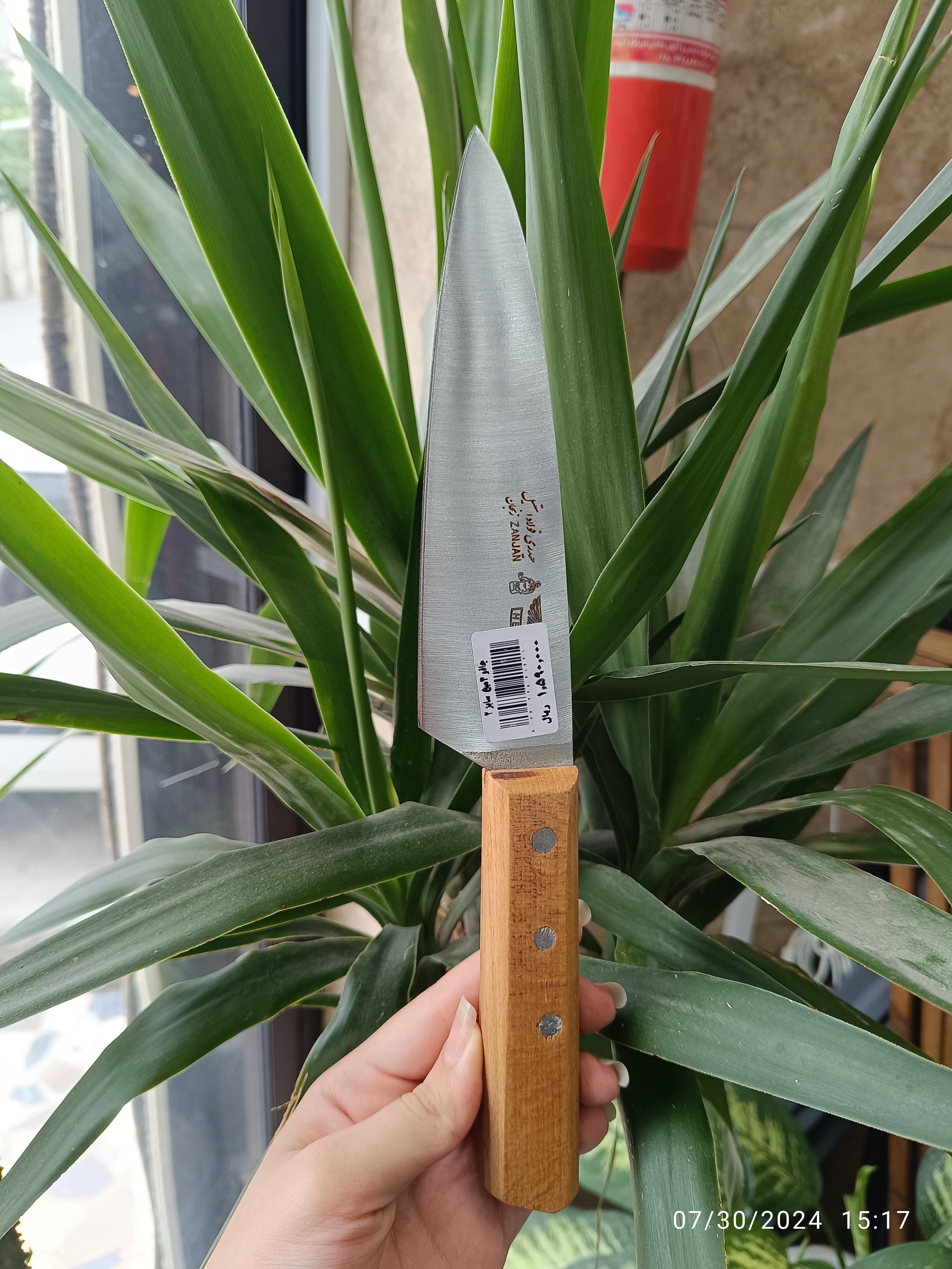 چاقو 3سیخ سایز2 دسته چوبی
