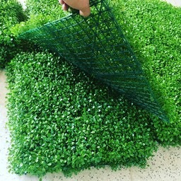 دیوار پوش شمشاد60*40