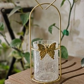 جا نباتی پروانه