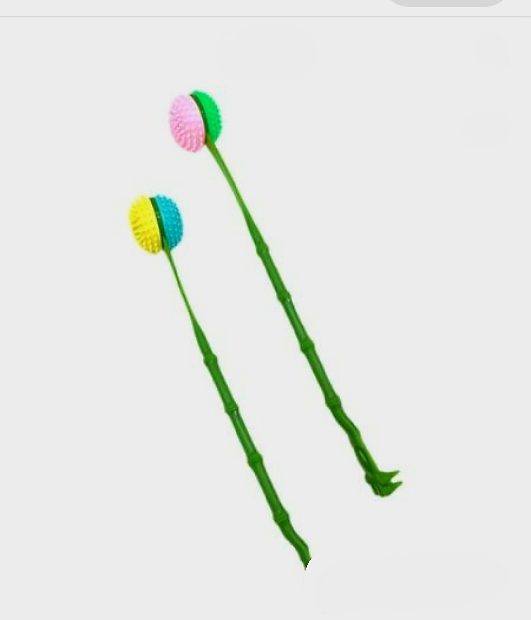 پشت خارون ژله ای