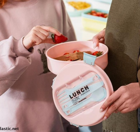 لانچ باکس گرد دلوین رزمن