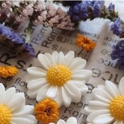شمع بابونه 4 عددی